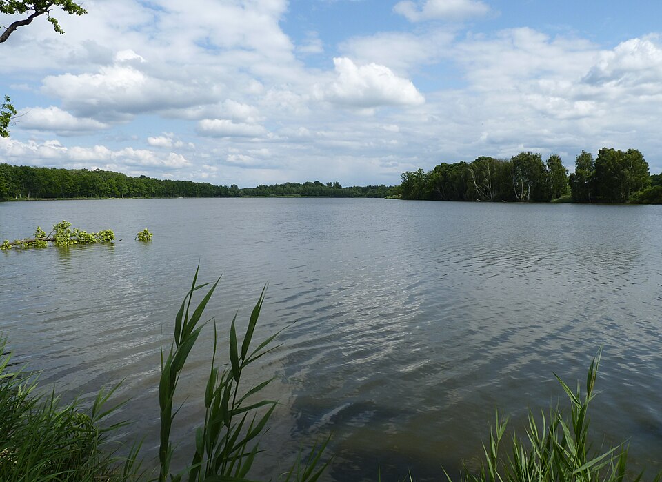 Vítek